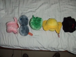 STDs virus toys