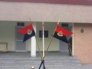 BSF flag